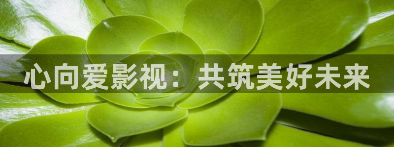 草莓视频第七影院